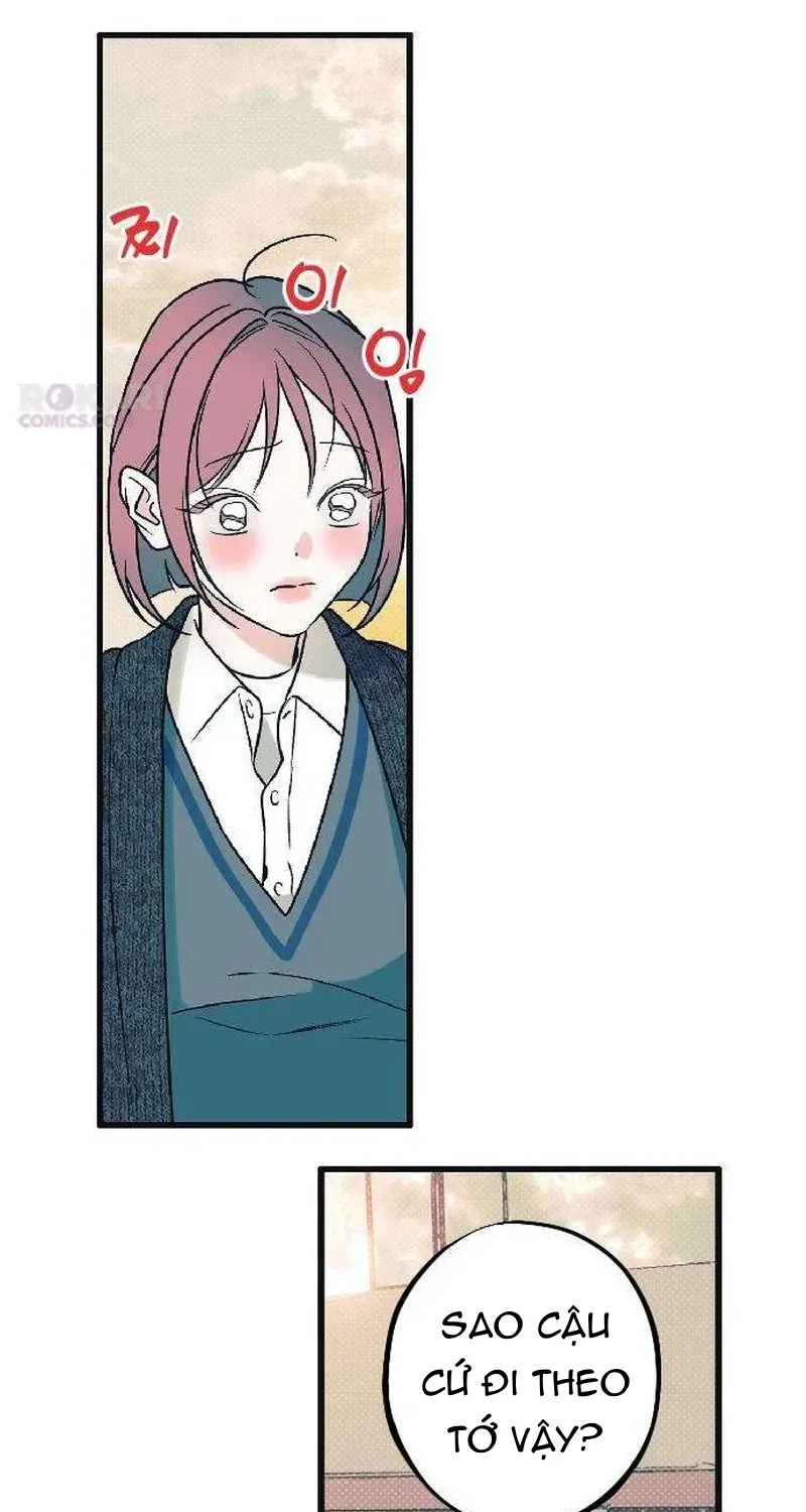 Chapter 5 - Trang 55