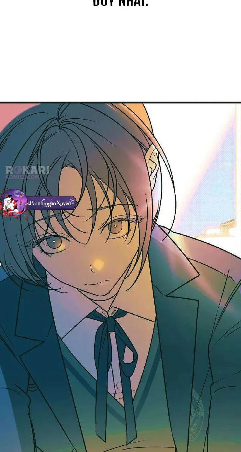 Chapter 6 - Trang 41