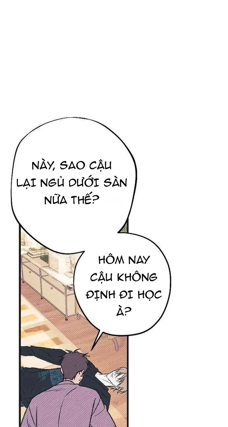 Chapter 7 - Trang 19