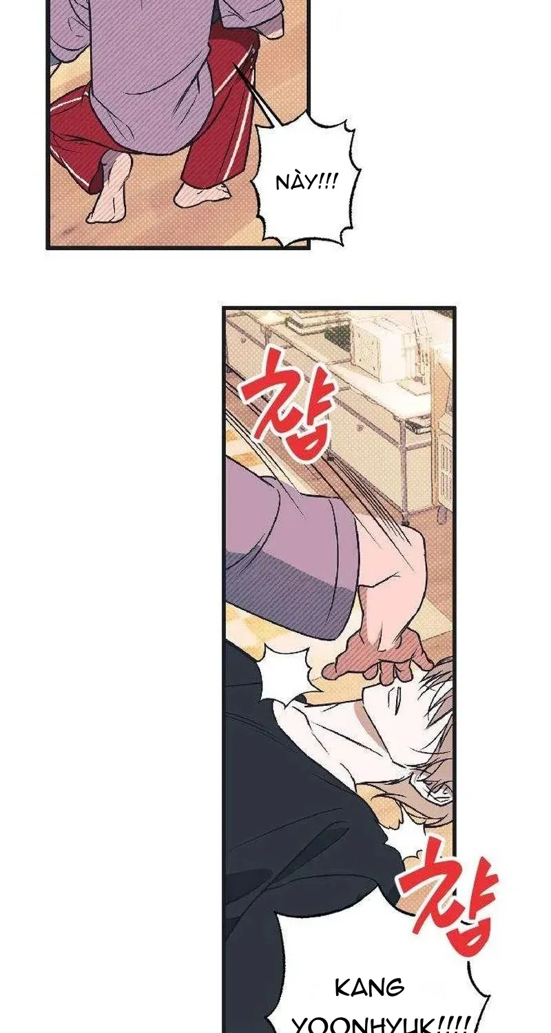 Chapter 7 - Trang 20
