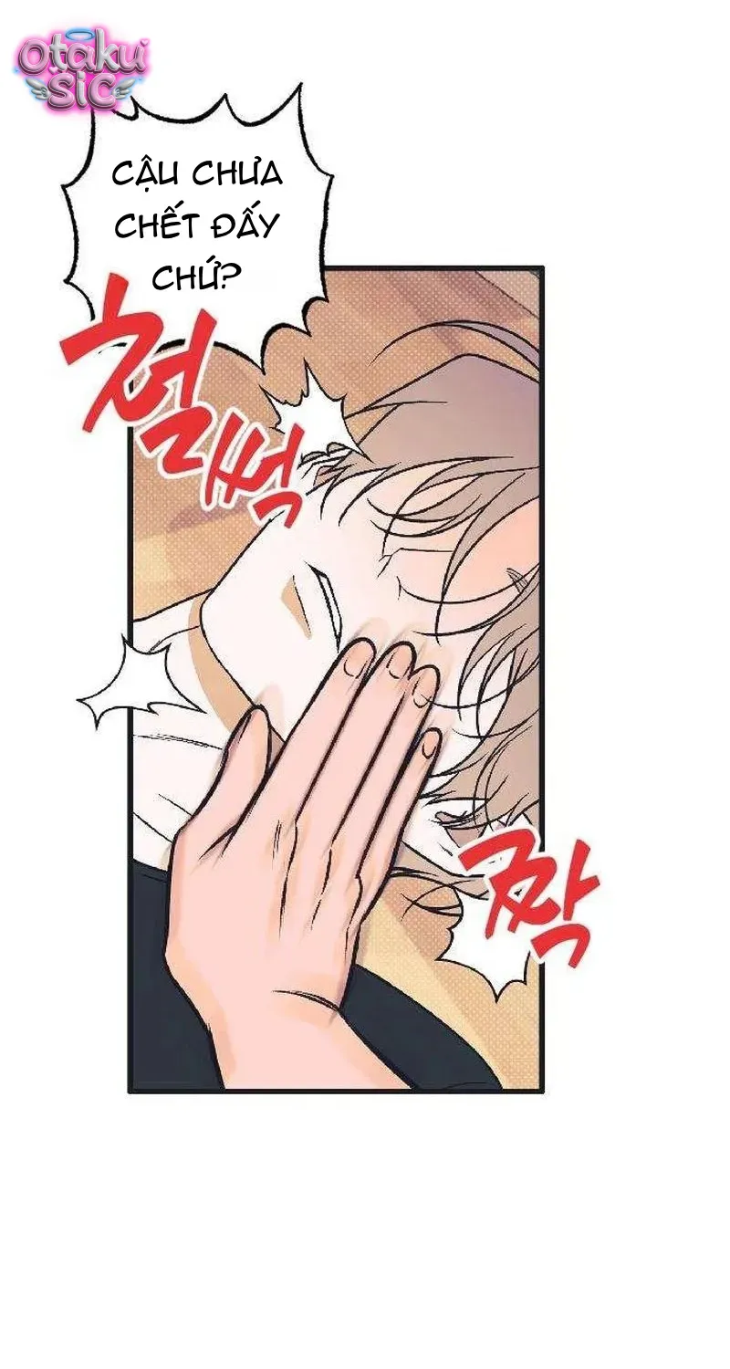 Chapter 7 - Trang 22