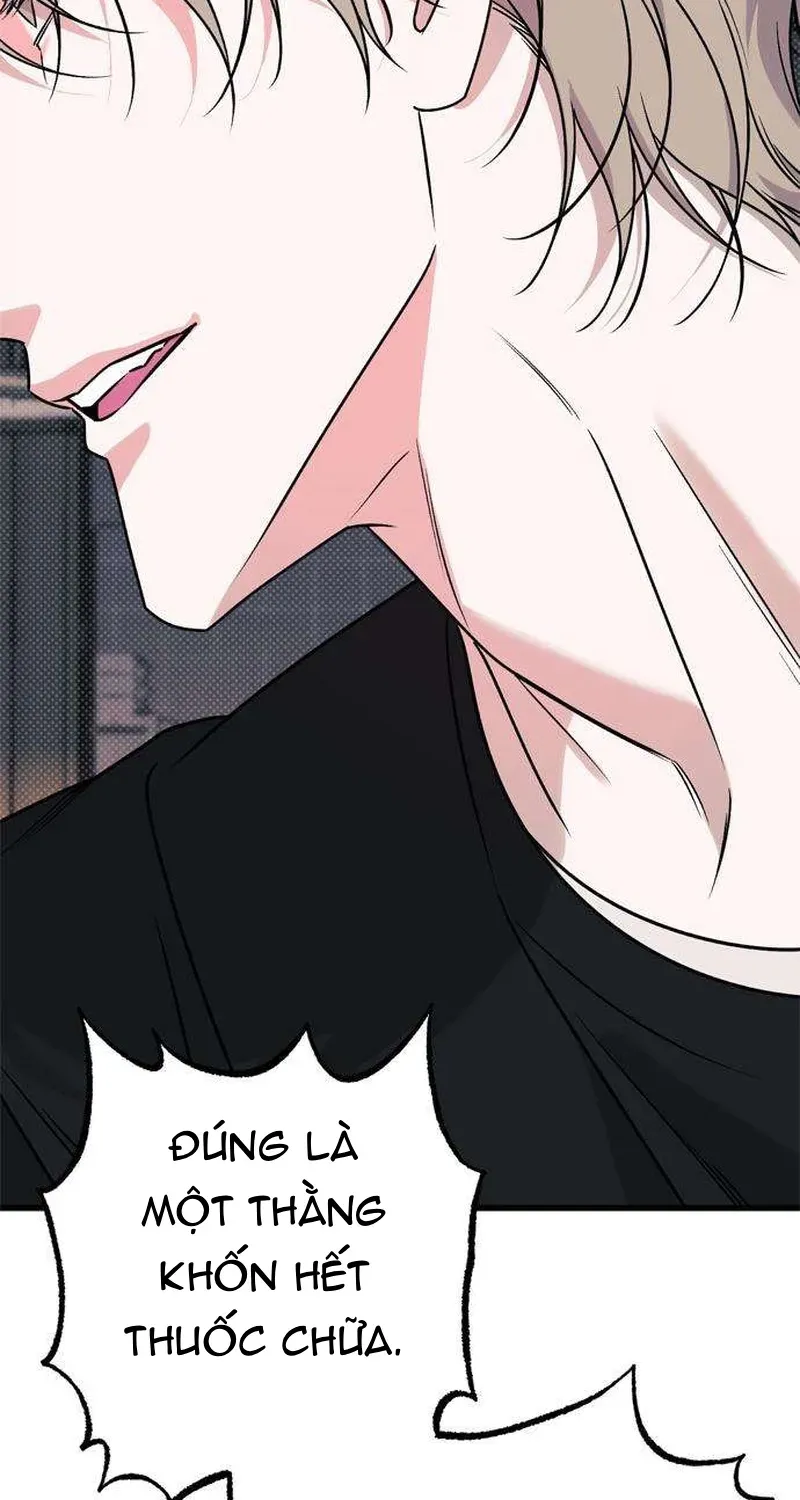 Chapter 8 - Trang 24