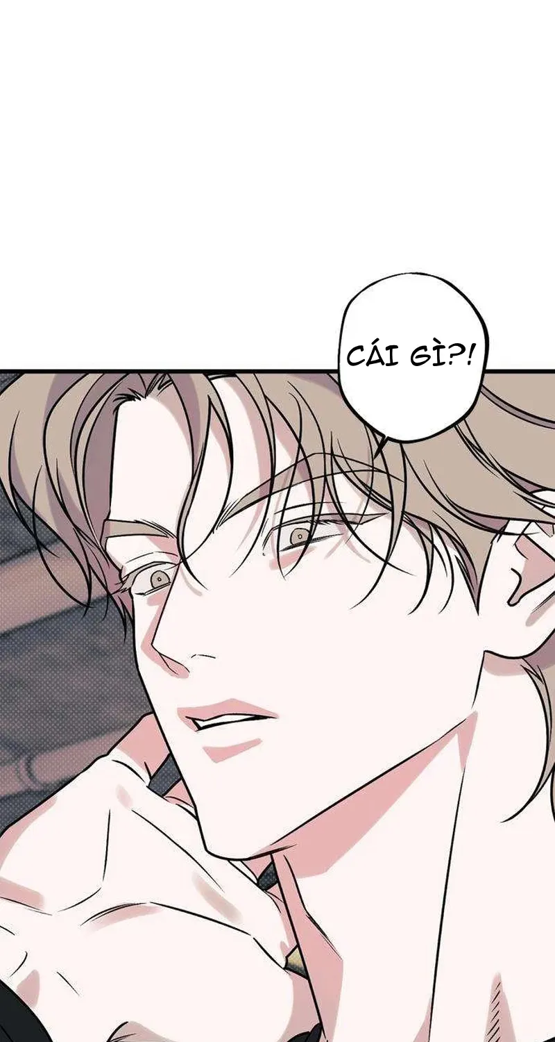 Chapter 8 - Trang 95