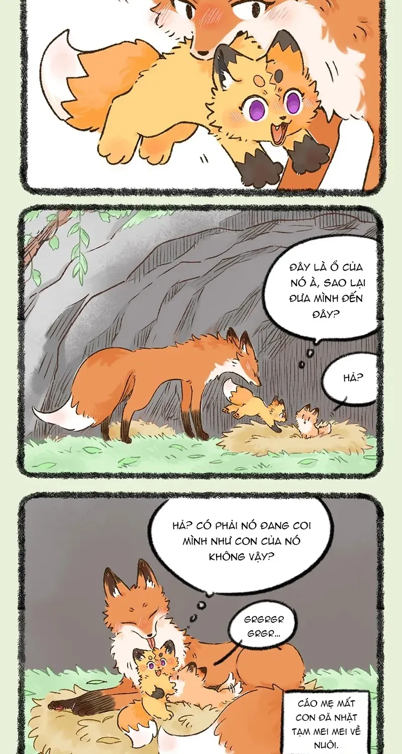 Có Linh Thú - Chap 1066 - Trang 5