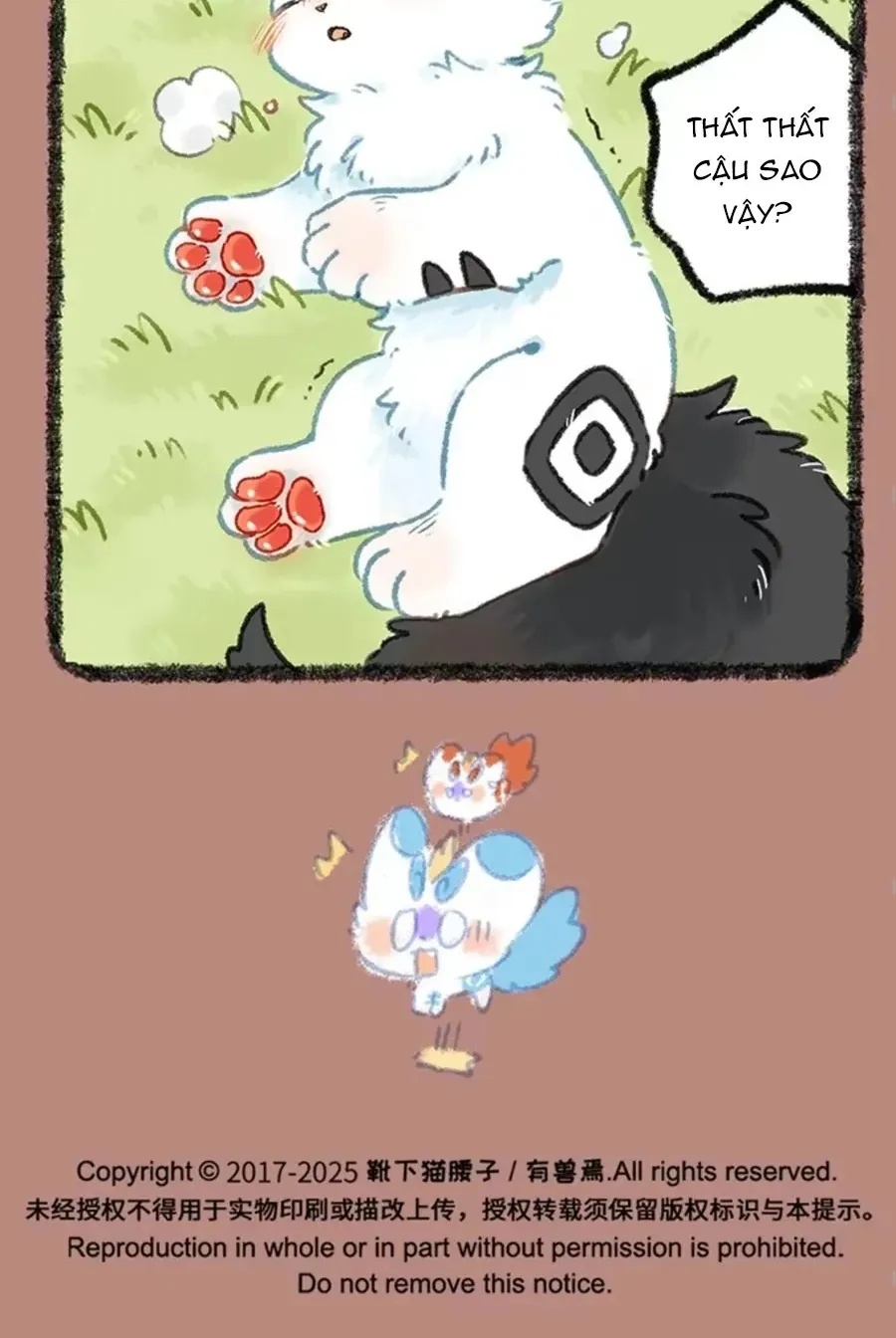 Có Linh Thú - Chap 1094 - Trang 6
