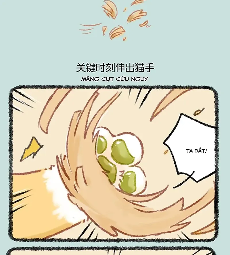 Có Linh Thú - Chap 1173 - Trang 4