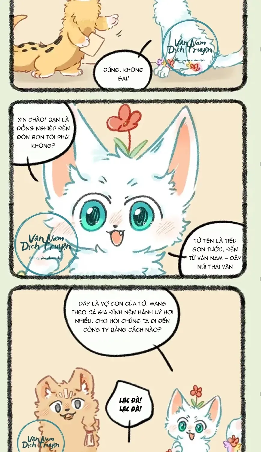 Có Linh Thú - Chap 1174 - Trang 3