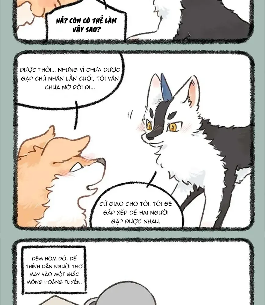 Có Linh Thú - Chap 1222 - Trang 4