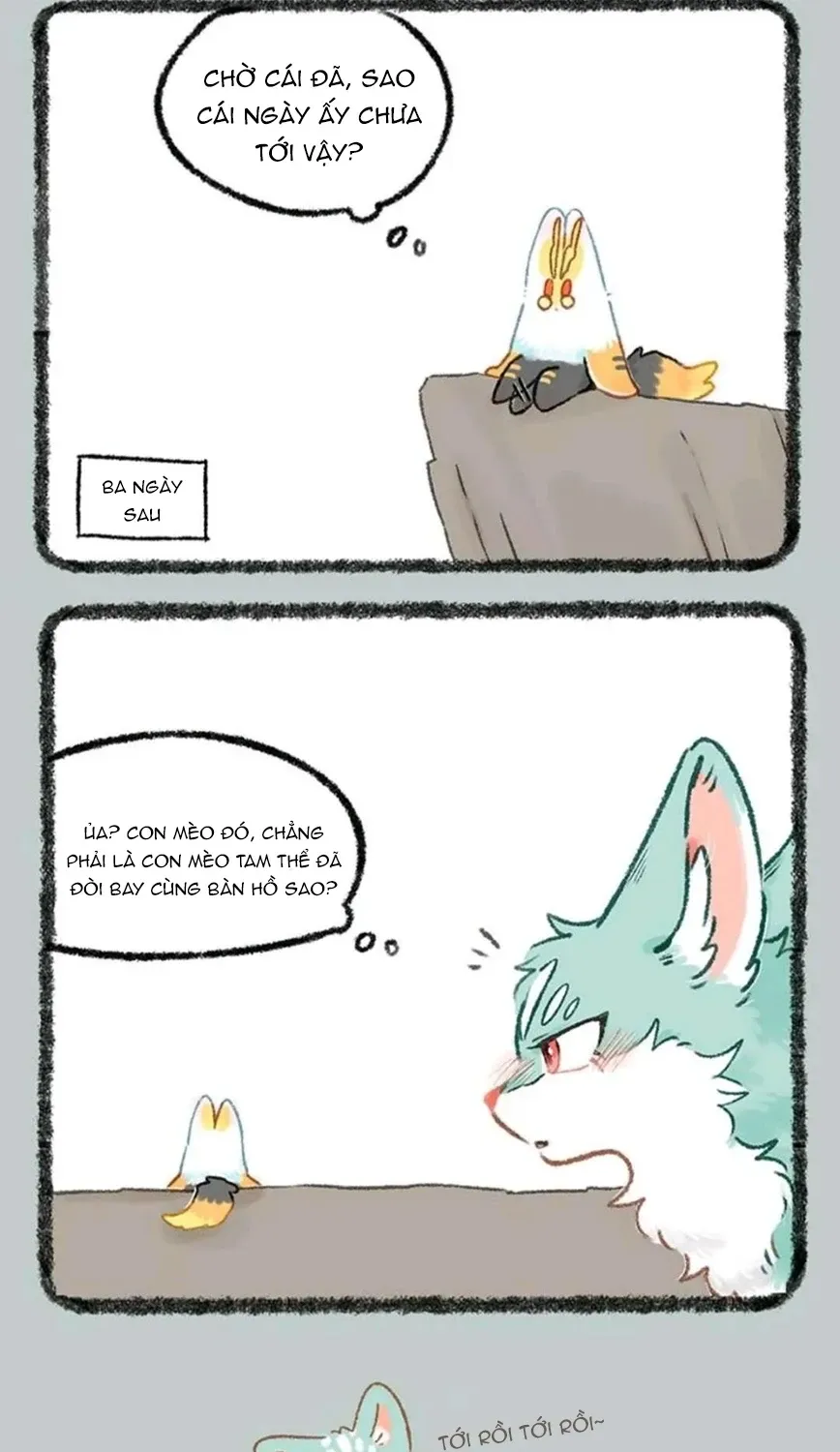 Có Linh Thú - Chap 1227 - Trang 5