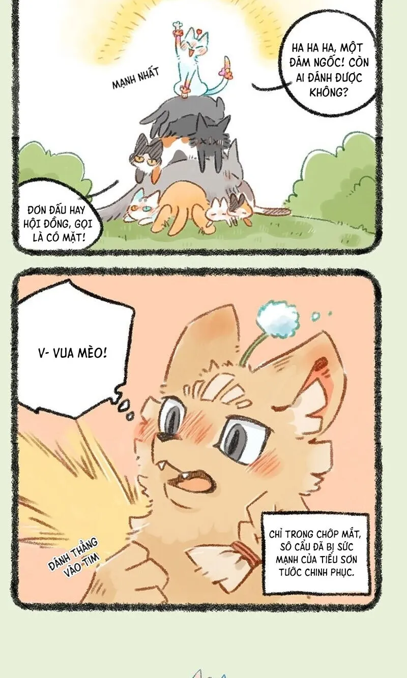 Có Linh Thú - Chap 273 - Trang 3