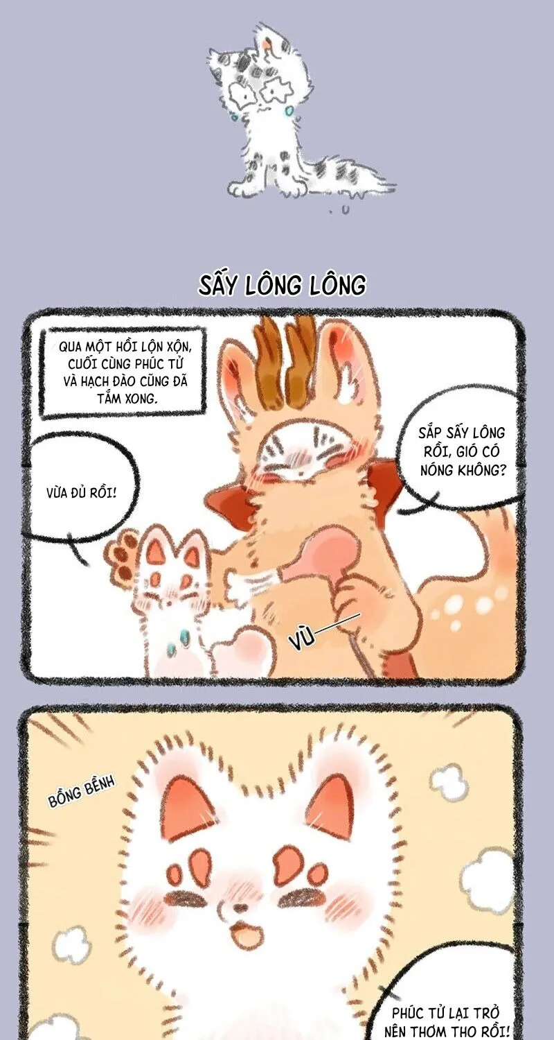 Có Linh Thú - Chap 298 - Trang 4