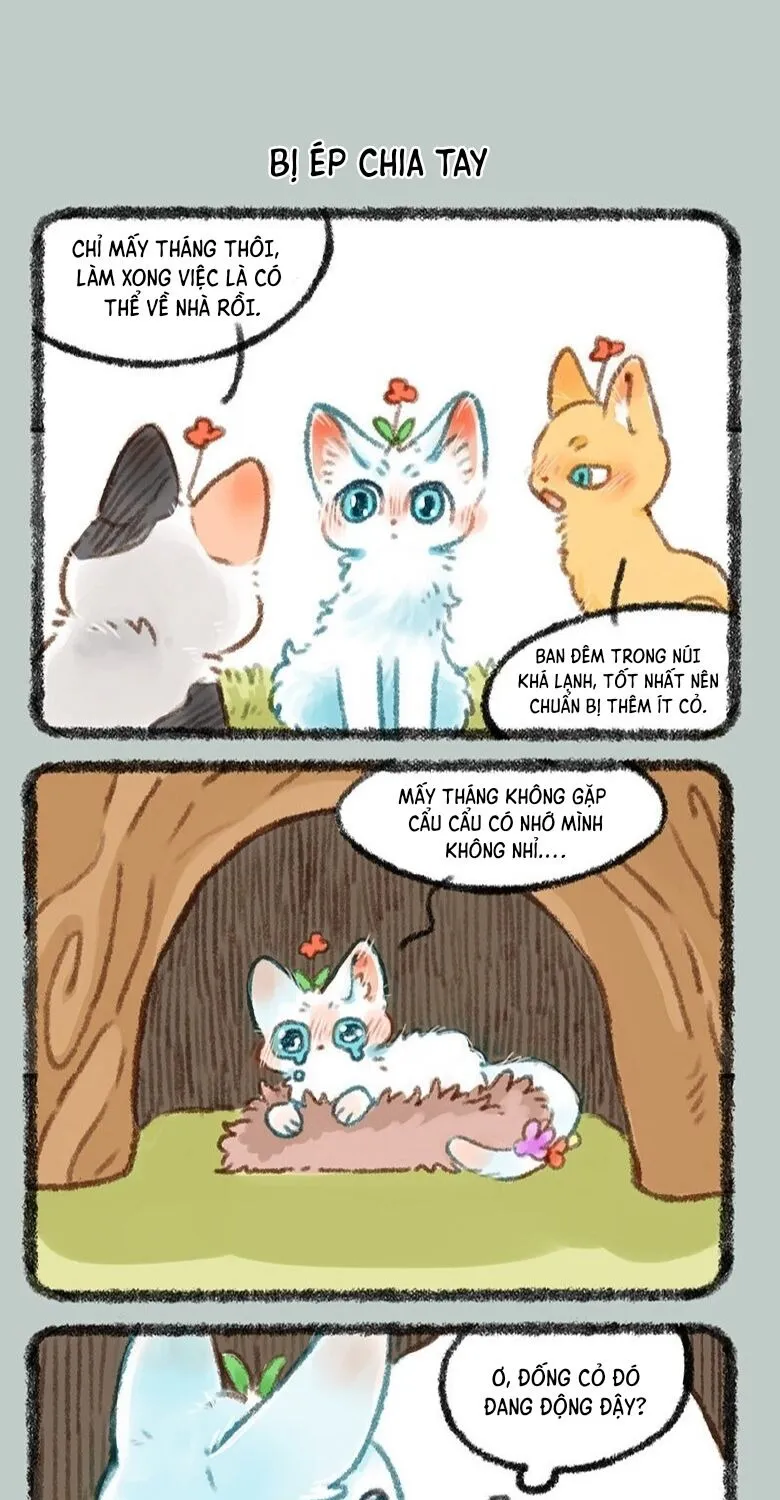 Có Linh Thú - Chap 439 - Trang 5