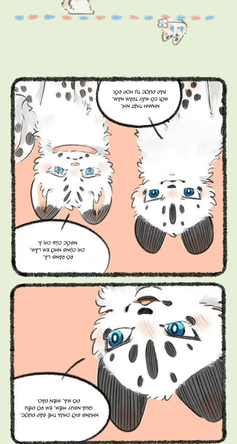 Có Linh Thú - Chap 735 - Trang 4