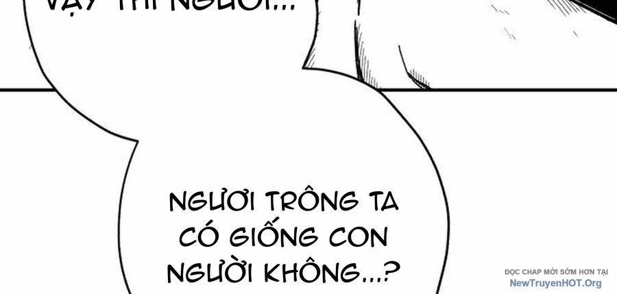 Trang 260