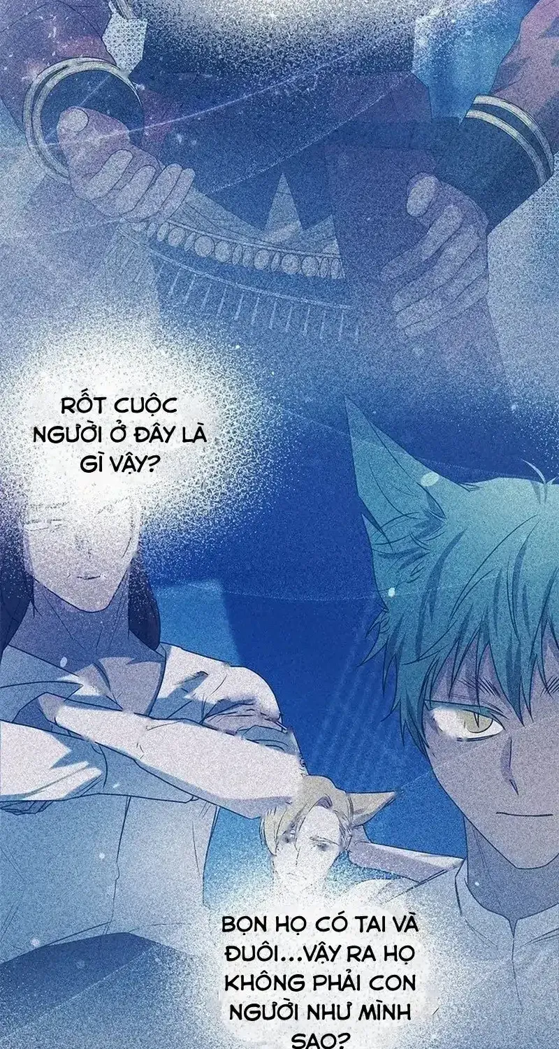 Chapter 12 - Trang 43