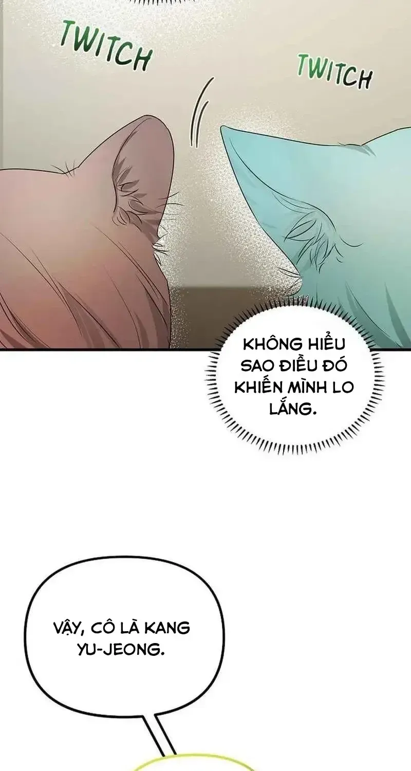 Chapter 12 - Trang 53