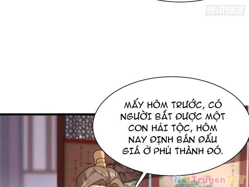 Chương 196 - Trang 13