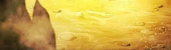 Chapter 215.5 - Trang 62
