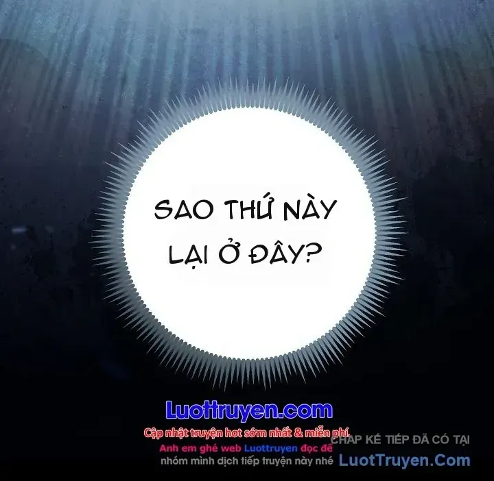 Chapter 383 - Trang 5