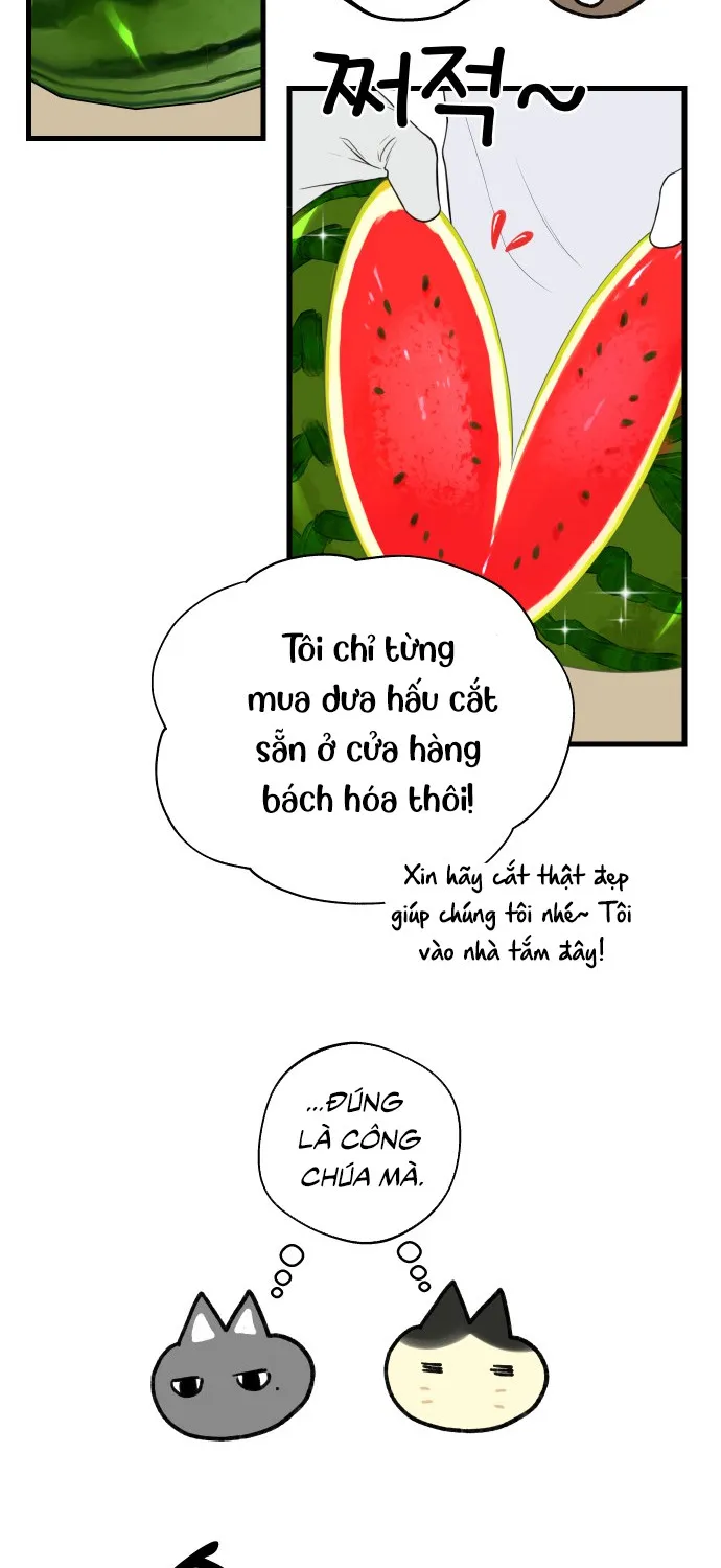 Chapter 13 - Trang 36