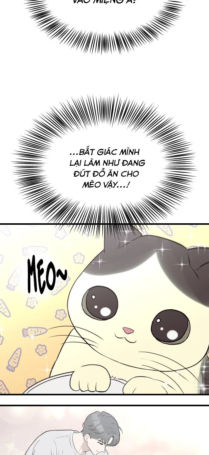 Chapter 15 - Trang 26