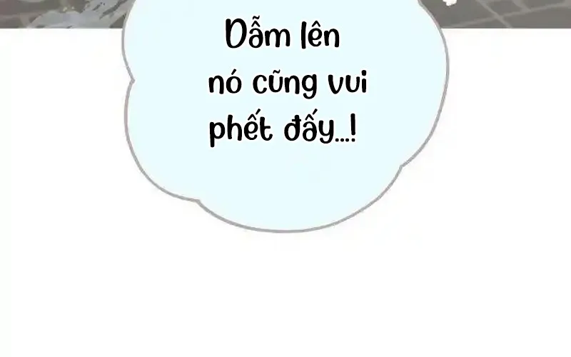 Chapter 8 - Trang 17