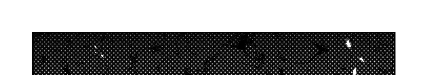 Chương 37 - Trang 10