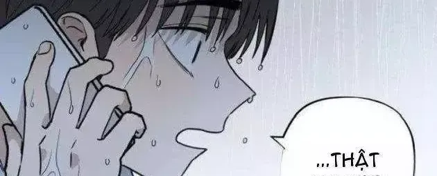 Cuộc Tấn Công Đau Đớn - Chap 18 - Trang 18