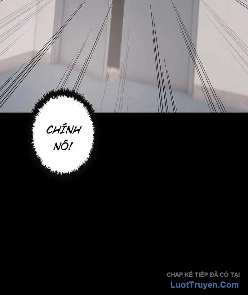 Chapter 20 - Trang 13