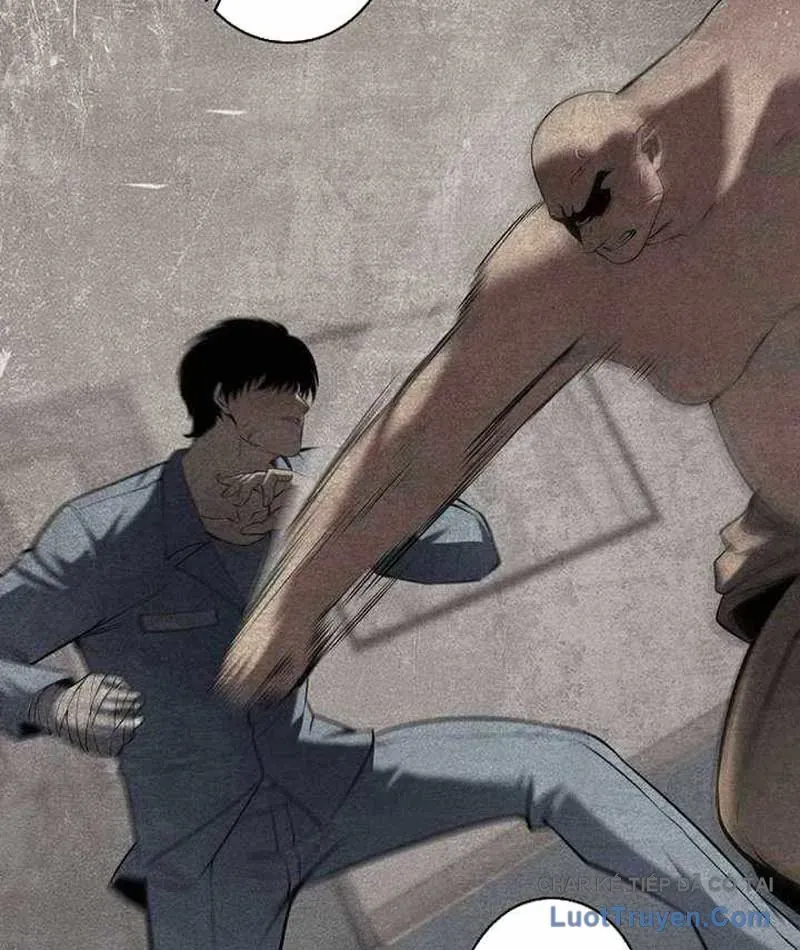 Chapter 22 - Trang 46
