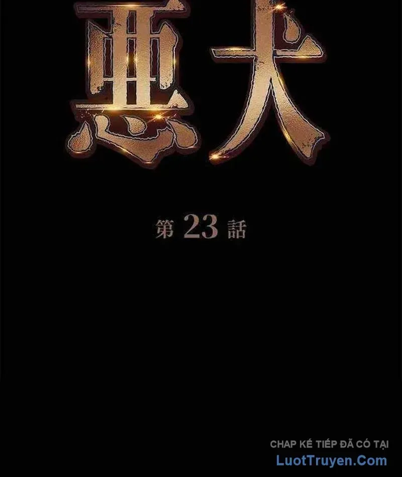 Chapter 23 - Trang 4