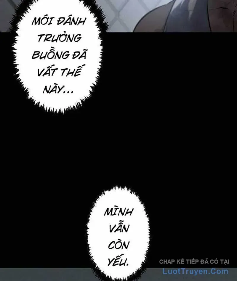 Chapter 24 - Trang 24