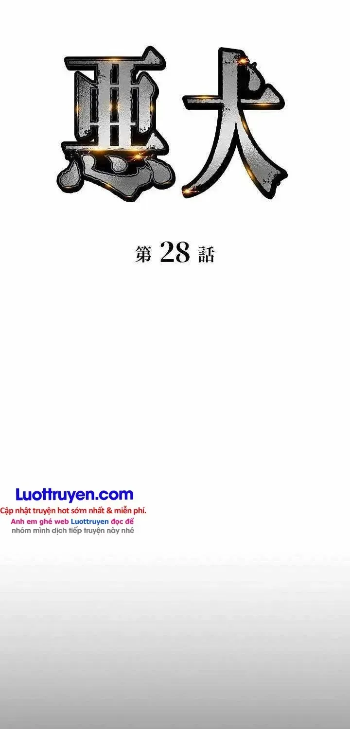 Chapter 28 - Trang 5