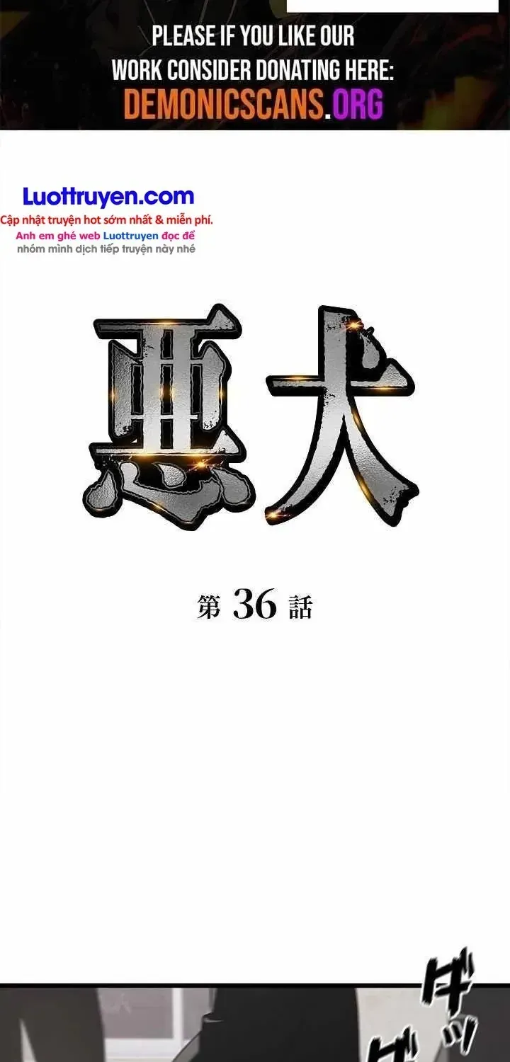 Chapter 36 - Trang 4