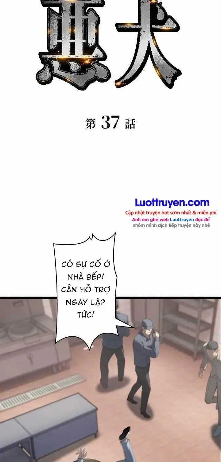 Chapter 37 - Trang 4