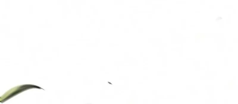 Chapter 205 - Trang 11