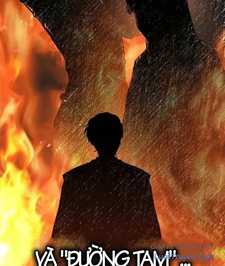 Chapter 24 - Trang 13