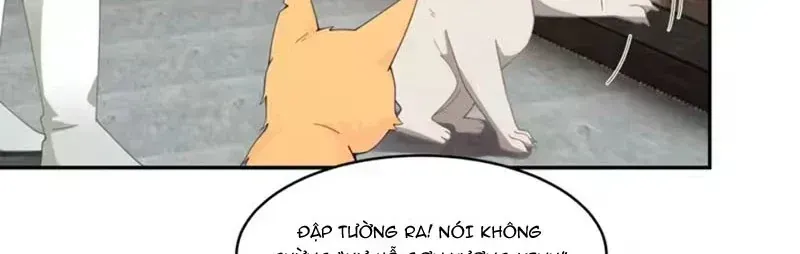 Trang 101