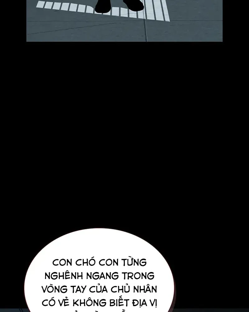 Chapter 15 - Trang 38