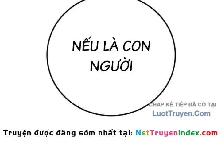 Trang 258