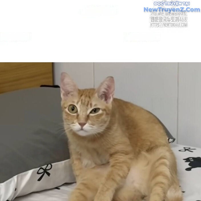Chương 77 - Trang 205