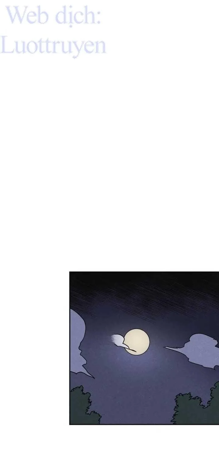 Chapter 3 - Trang 29