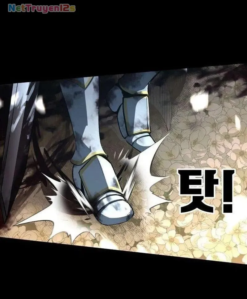 Chapter 2 - Trang 251