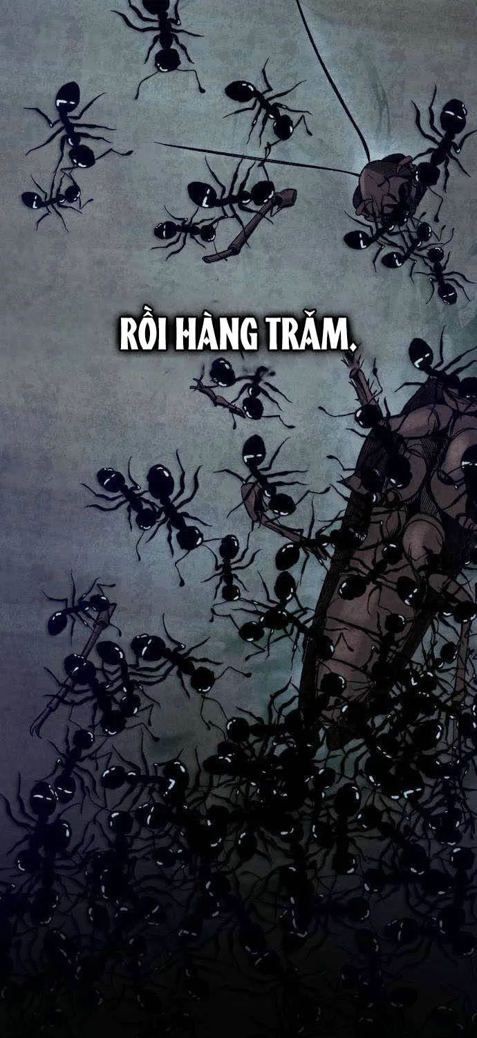 Chapter 6 - Trang 13