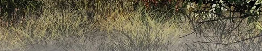 Trang 73