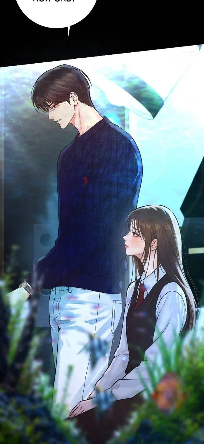 Dấu Ấn Bảo Trợ - Chap 1 - Trang 28