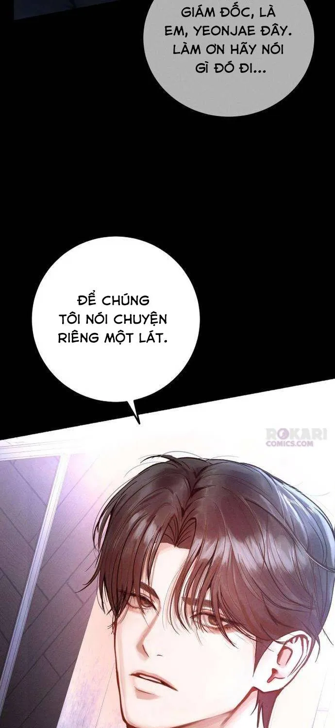 Dấu Ấn Bảo Trợ - Chap 2 - Trang 14