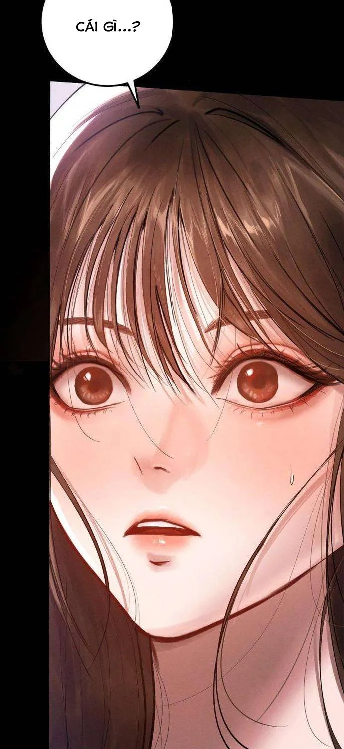 Dấu Ấn Bảo Trợ - Chap 2 - Trang 24