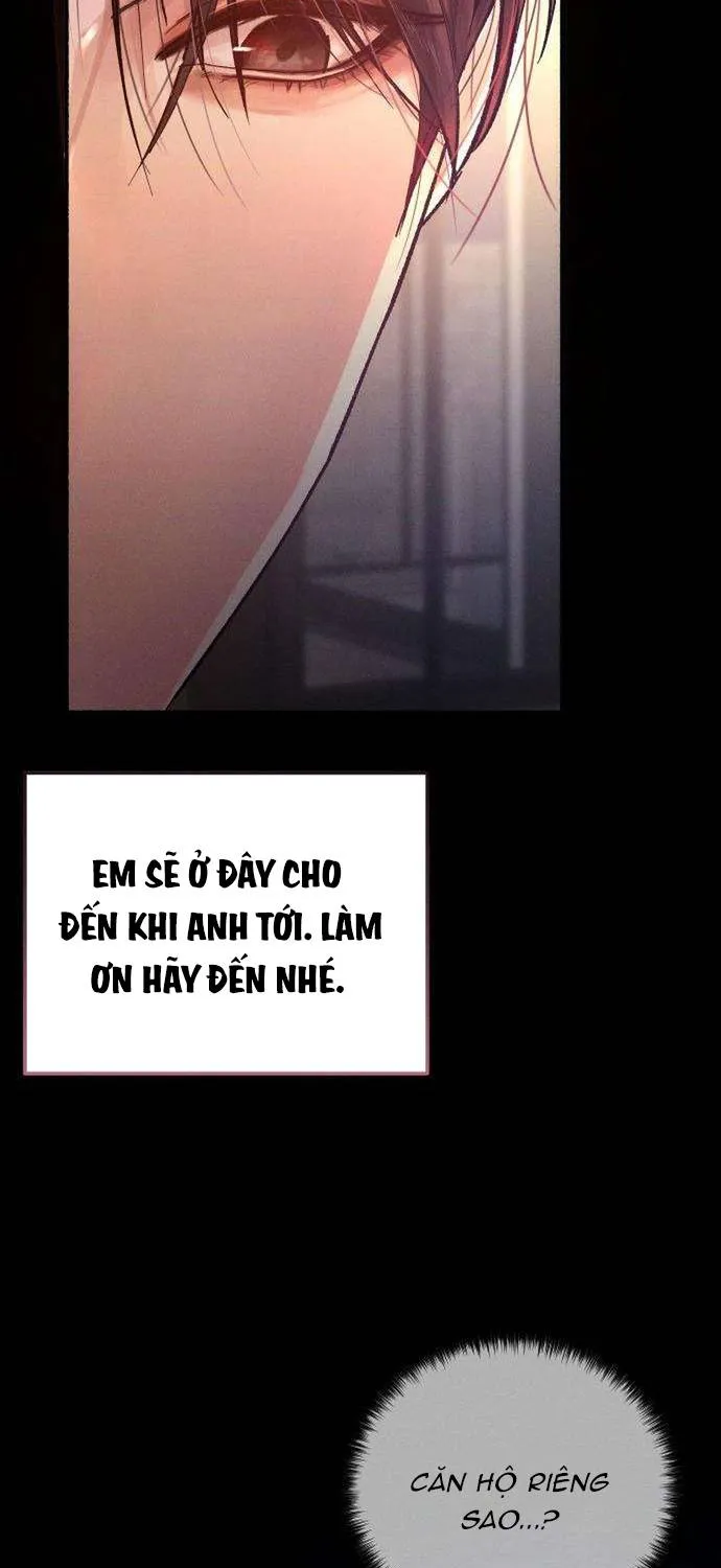 Dấu Ấn Bảo Trợ - Chap 2 - Trang 56
