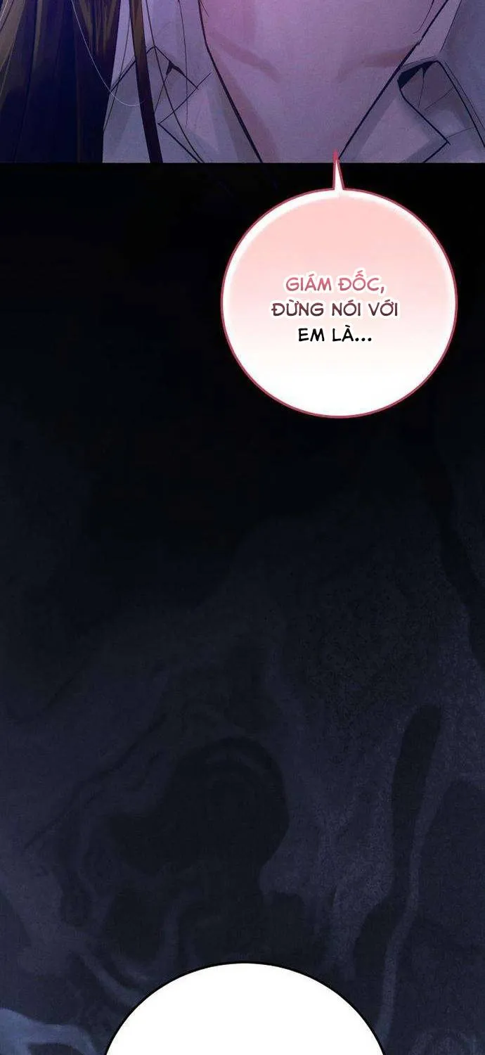 Dấu Ấn Bảo Trợ - Chap 2 - Trang 96